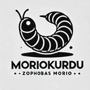 Morio Kurdu